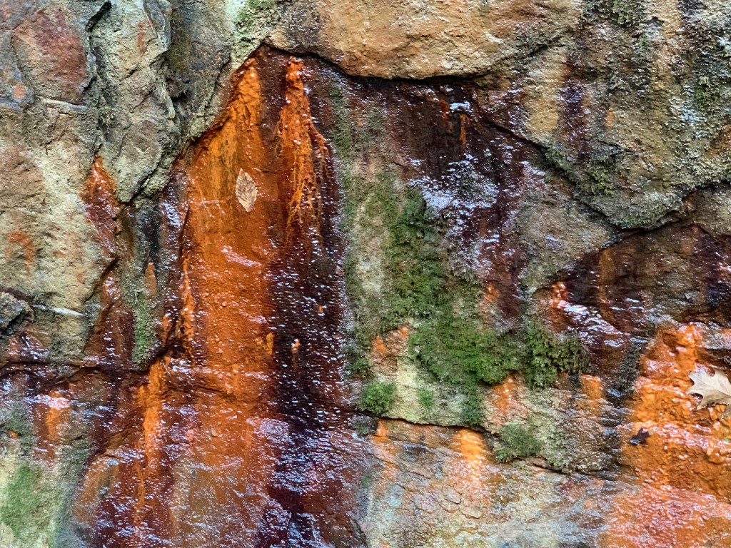 A wet rock face streaked with rust-orange mineral deposits and dark water stains, with patches of green moss and a fallen leaf