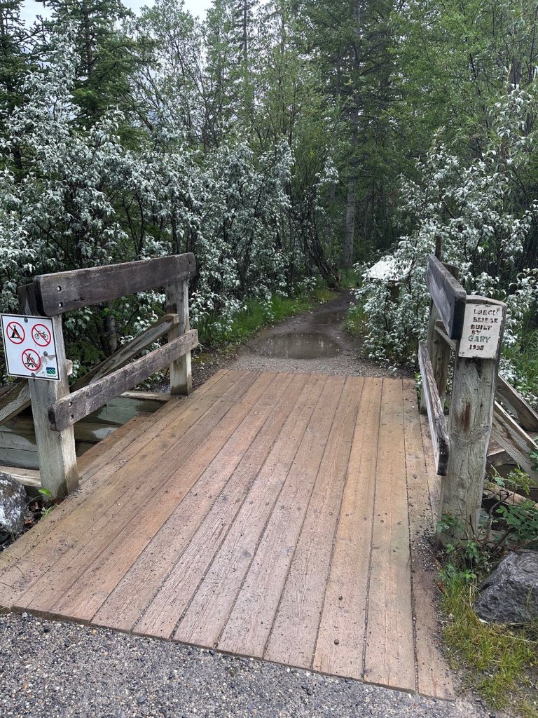 A very short wooden footbridge on a forest trail, with a hand-painted sign reading Large bridge built by Gary 1995