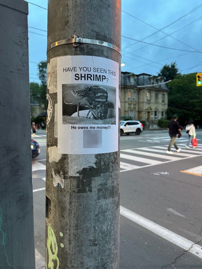 A cartoon shrimp on a Toronto sign, with the words He owes me money!!!